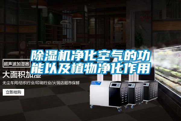 除濕機凈化空氣的功能以及植物凈化作用