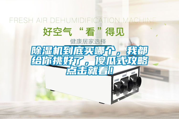 除濕機到底買(mǎi)哪個(gè)，我都給你挑好了，傻瓜式攻略點(diǎn)擊就看！