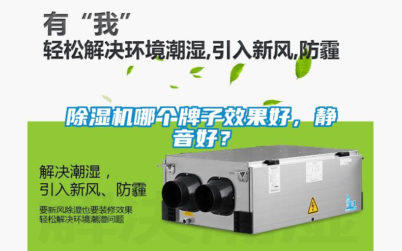 除濕機哪個(gè)牌子效果好，靜音好？
