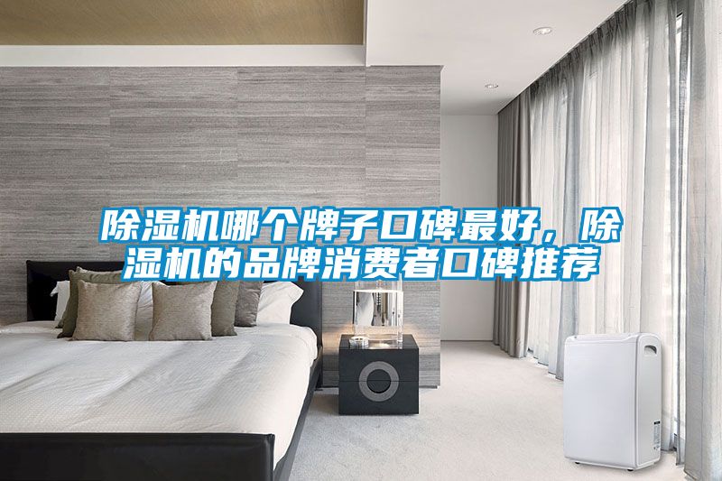 除濕機哪個(gè)牌子口碑最好，除濕機的品牌消費者口碑推薦