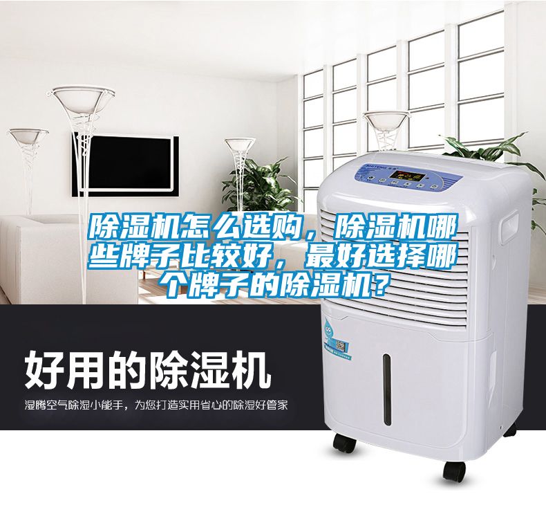 除濕機怎么選購，除濕機哪些牌子比較好，最好選擇哪個(gè)牌子的除濕機？