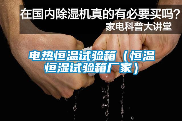 電熱恒溫試驗箱（恒溫恒濕試驗箱廠(chǎng)家）