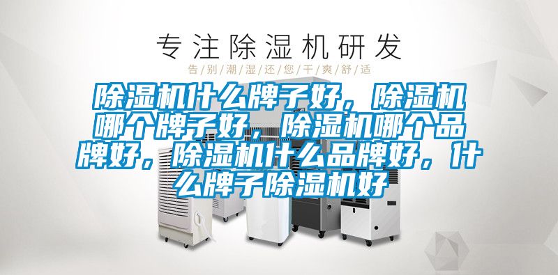 除濕機什么牌子好，除濕機哪個(gè)牌子好，除濕機哪個(gè)品牌好，除濕機什么品牌好，什么牌子除濕機好