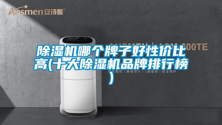 除濕機哪個(gè)牌子好性?xún)r(jià)比高(十大除濕機品牌排行榜)