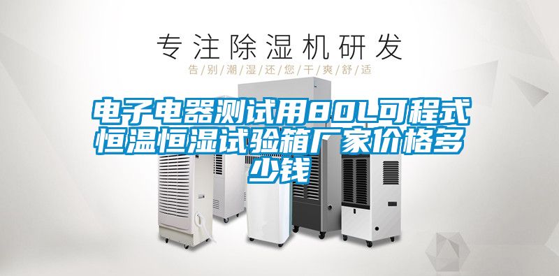 電子電器測試用80L可程式恒溫恒濕試驗箱廠(chǎng)家價(jià)格多少錢(qián)