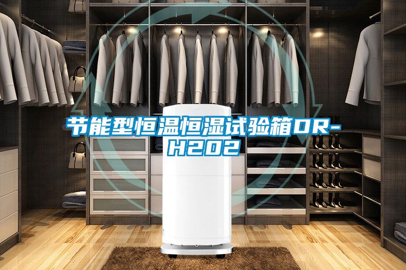 節能型恒溫恒濕試驗箱DR-H202