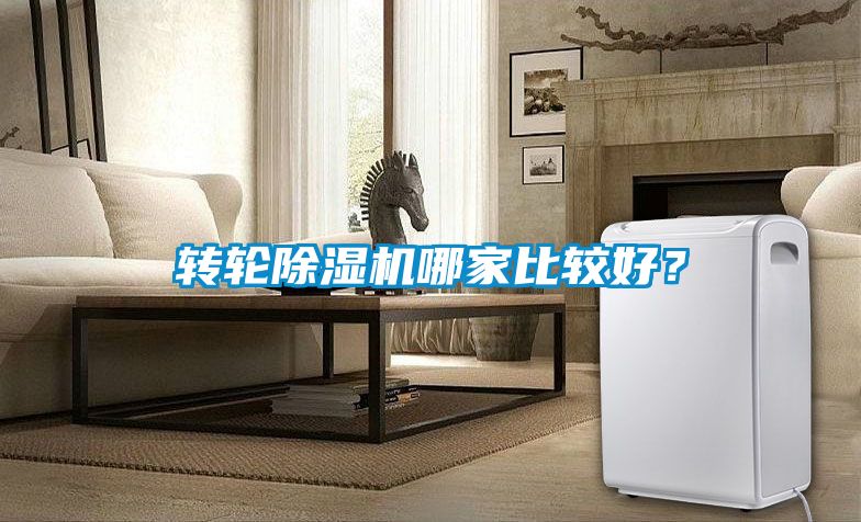 轉輪除濕機哪家比較好？