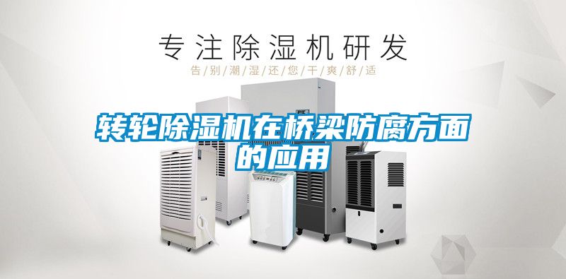 轉輪除濕機在橋梁防腐方面的應用