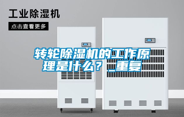 轉輪除濕機的工作原理是什么？_重復