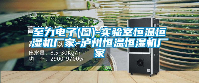 至力電子(圖)-實(shí)驗室恒溫恒濕機廠(chǎng)家-瀘州恒溫恒濕機廠(chǎng)家