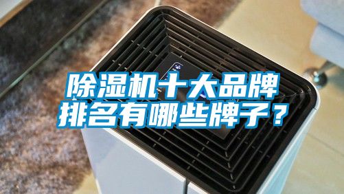 除濕機十大品牌排名有哪些牌子？