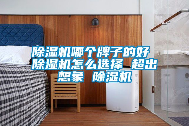 除濕機哪個(gè)牌子的好 除濕機怎么選擇 超出想象 除濕機