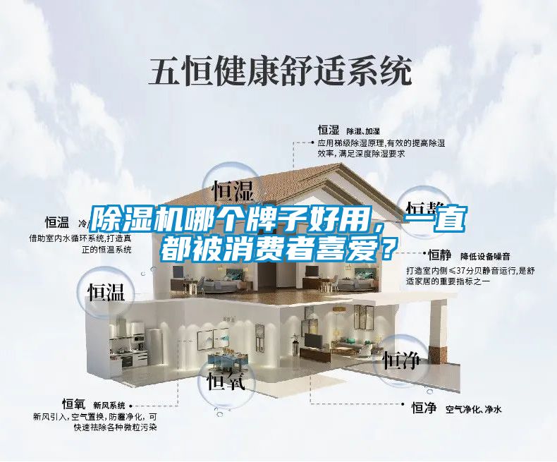 除濕機哪個(gè)牌子好用，一直都被消費者喜愛(ài)？