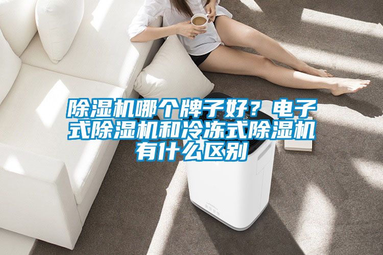 除濕機哪個(gè)牌子好？電子式除濕機和冷凍式除濕機有什么區別