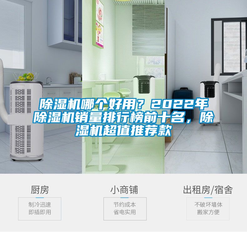 除濕機哪個(gè)好用？2022年除濕機銷(xiāo)量排行榜前十名，除濕機超值推薦款