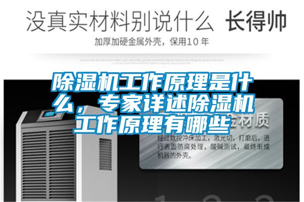 除濕機工作原理是什么，專(zhuān)家詳述除濕機工作原理有哪些