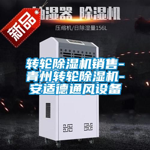 轉輪除濕機銷(xiāo)售-青州轉輪除濕機-安適德通風(fēng)設備