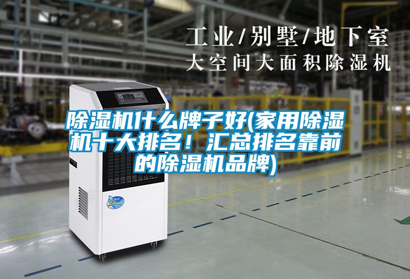 除濕機什么牌子好(家用除濕機十大排名！匯總排名靠前的除濕機品牌)