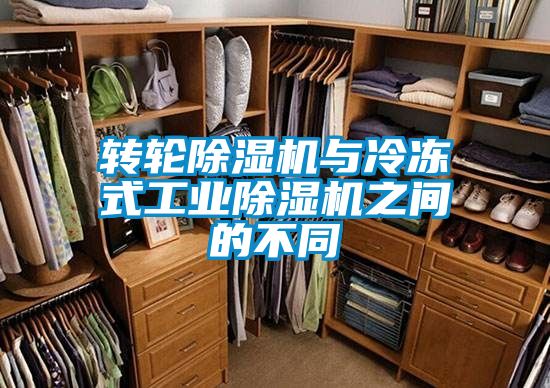 轉輪除濕機與冷凍式工業(yè)除濕機之間的不同