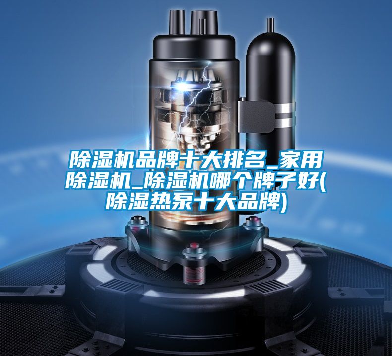 除濕機品牌十大排名_家用除濕機_除濕機哪個(gè)牌子好(除濕熱泵十大品牌)