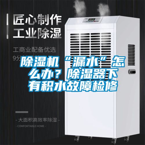 除濕機“漏水”怎么辦？除濕器下有積水故障檢修