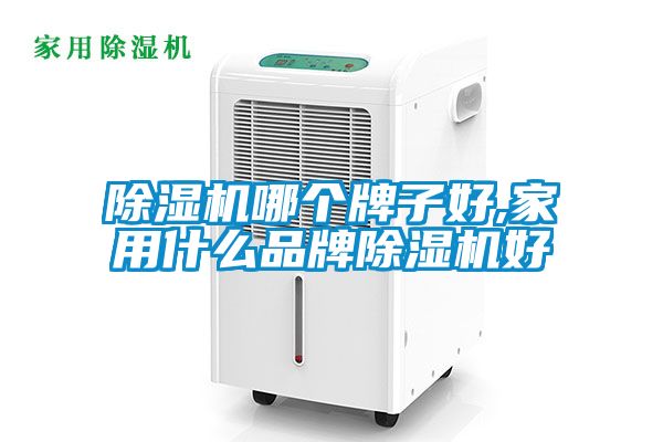 除濕機哪個(gè)牌子好,家用什么品牌除濕機好