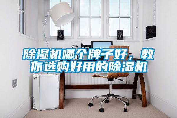 除濕機哪個(gè)牌子好，教你選購好用的除濕機