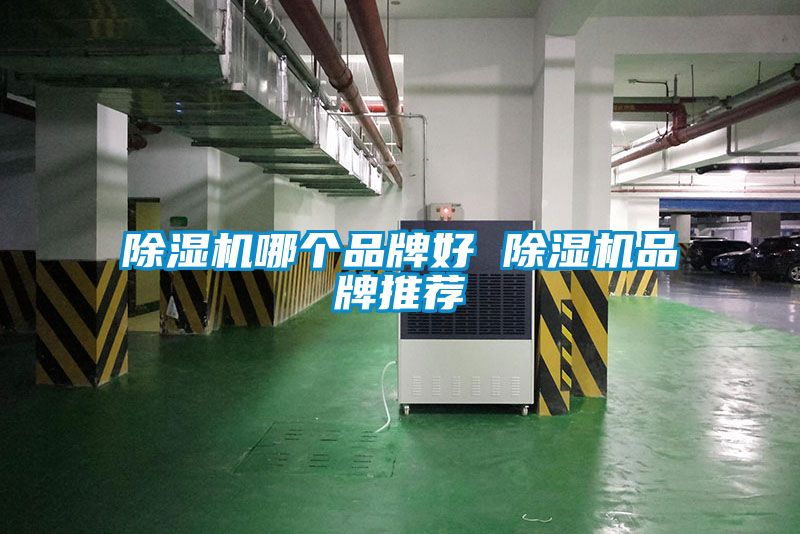 除濕機哪個(gè)品牌好 除濕機品牌推薦