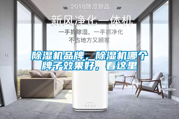 除濕機品牌，除濕機哪個(gè)牌子效果好，看這里