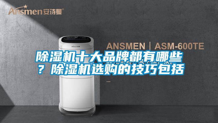 除濕機十大品牌都有哪些？除濕機選購的技巧包括