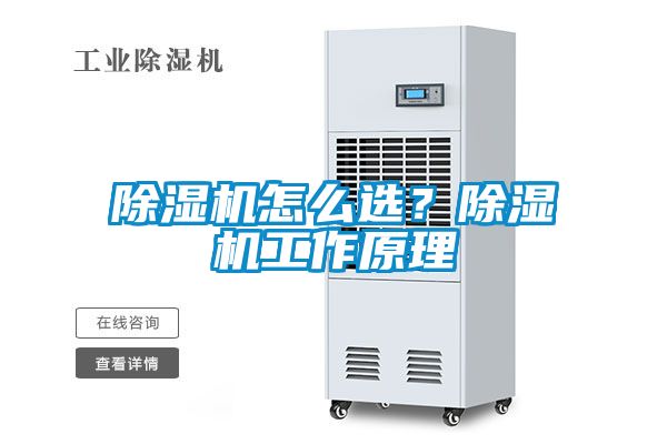 除濕機怎么選？除濕機工作原理