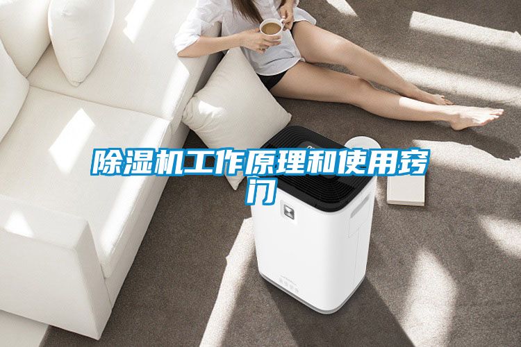 除濕機工作原理和使用竅門(mén)
