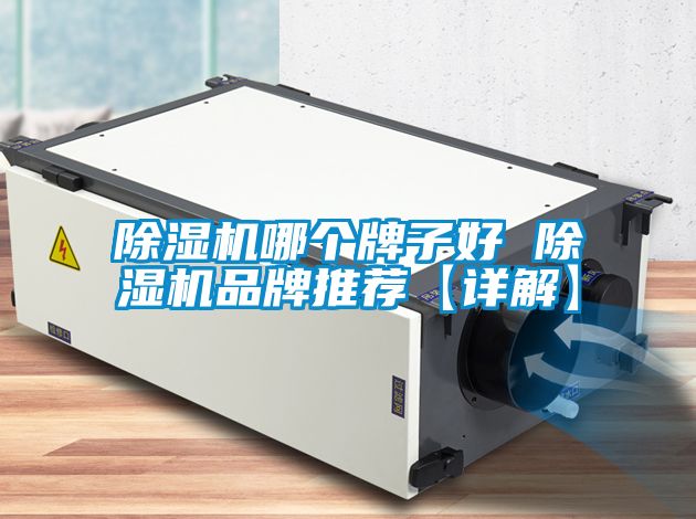 除濕機哪個(gè)牌子好 除濕機品牌推薦【詳解】