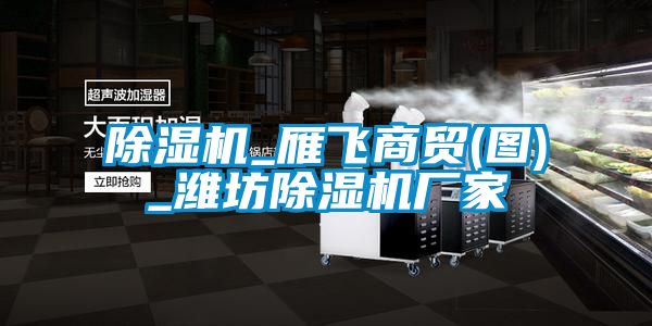 除濕機_雁飛商貿(圖)_濰坊除濕機廠(chǎng)家