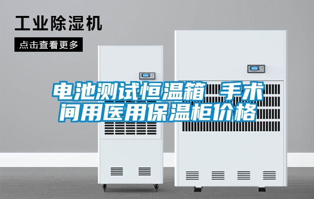 電池測試恒溫箱 手術(shù)間用醫用保溫柜價(jià)格