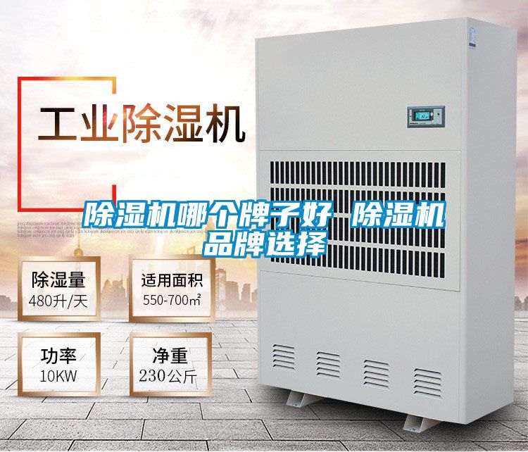 除濕機哪個(gè)牌子好 除濕機品牌選擇