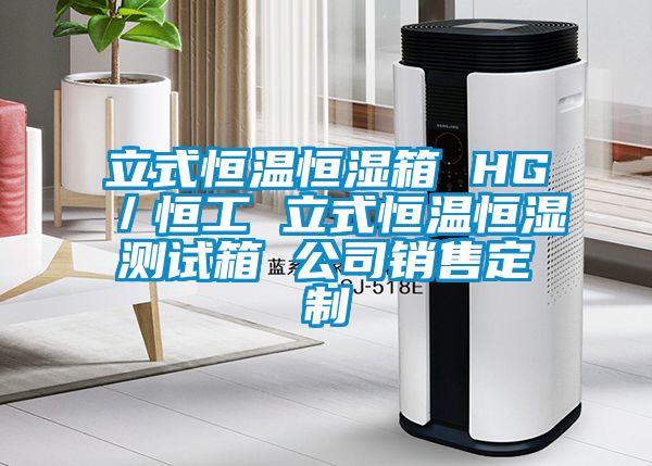 立式恒溫恒濕箱 HG／恒工 立式恒溫恒濕測試箱 公司銷(xiāo)售定制