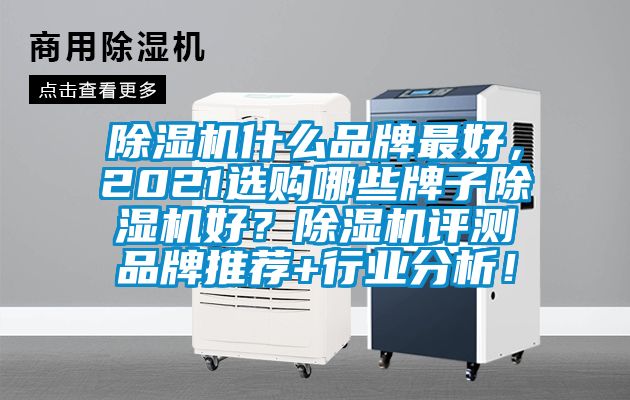 除濕機什么品牌最好，2021選購哪些牌子除濕機好？除濕機評測品牌推薦+行業(yè)分析！
