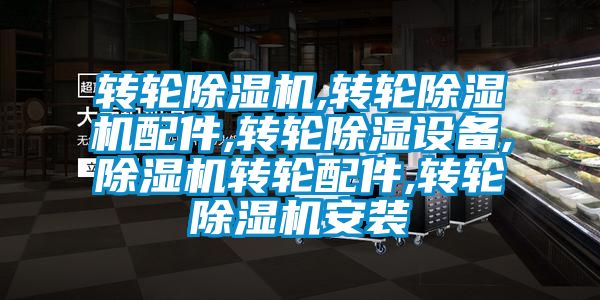 轉輪除濕機,轉輪除濕機配件,轉輪除濕設備,除濕機轉輪配件,轉輪除濕機安裝