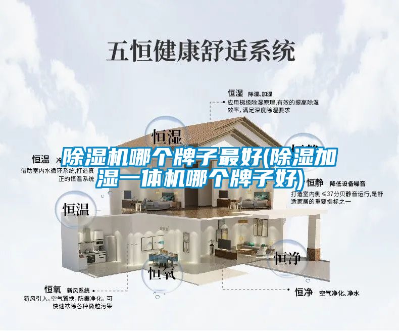 除濕機哪個(gè)牌子最好(除濕加濕一體機哪個(gè)牌子好)