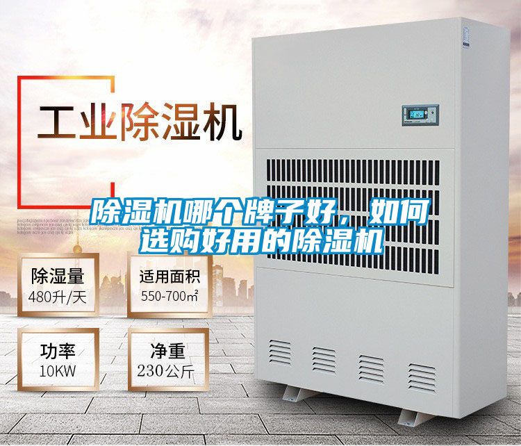 除濕機哪個(gè)牌子好，如何選購好用的除濕機