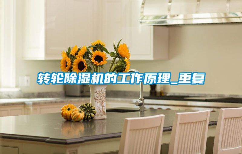 轉輪除濕機的工作原理_重復