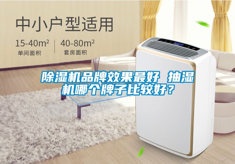 除濕機品牌效果最好 抽濕機哪個(gè)牌子比較好？