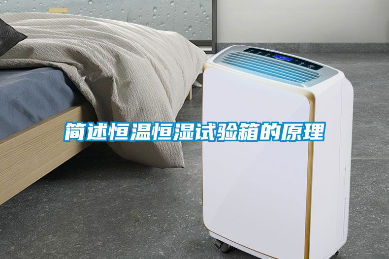 簡(jiǎn)述恒溫恒濕試驗箱的原理