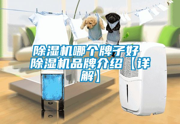 除濕機哪個(gè)牌子好 除濕機品牌介紹【詳解】