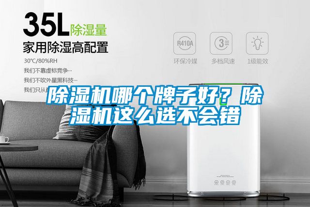 除濕機哪個(gè)牌子好？除濕機這么選不會(huì )錯