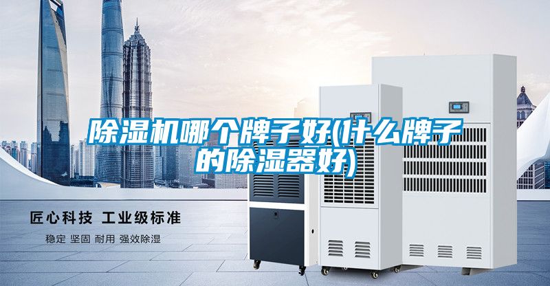 除濕機哪個(gè)牌子好(什么牌子的除濕器好)