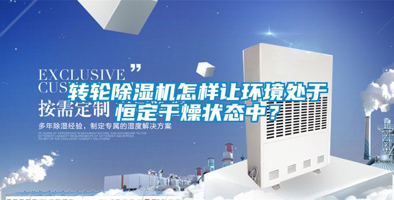 轉輪除濕機怎樣讓環(huán)境處于恒定干燥狀態(tài)中？