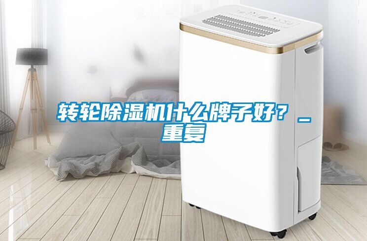 轉輪除濕機什么牌子好？_重復