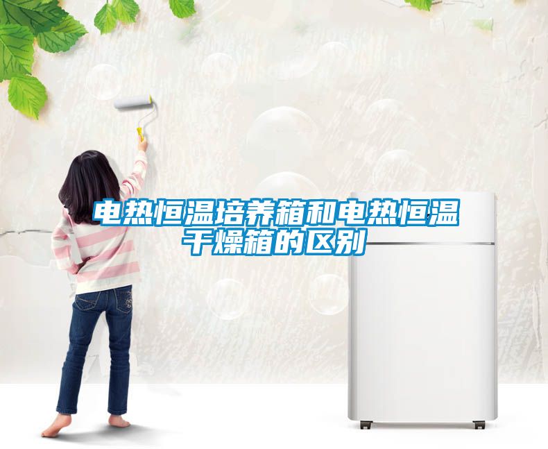 電熱恒溫培養箱和電熱恒溫干燥箱的區別